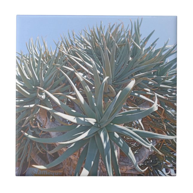 Summer Vibes Palm Tree Cactus Pale Green Fliese (Vorderseite)