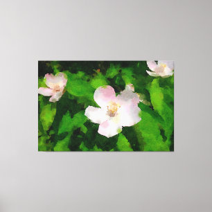Summer Wild Rose Leinwanddruck