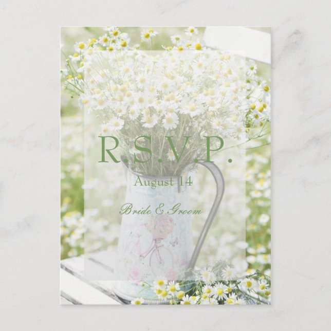 Summerfield Daisies Chamomile Blume Wedding RSVP Einladungspostkarte (Vorderseite)
