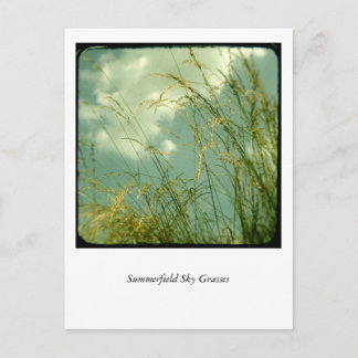 Summerfield Sky Grasses Postkarte