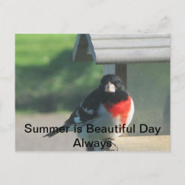 Summers Beautty Postkarte