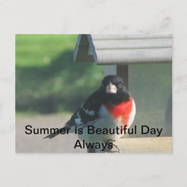 Summers Beautty Postkarte (Vorderseite)