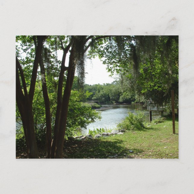 Summerville, SC Postkarte (Vorderseite)