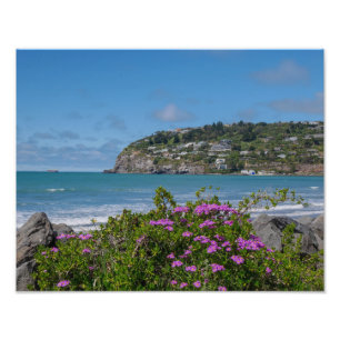Sumner Beach, Christchurch - Impression photo
