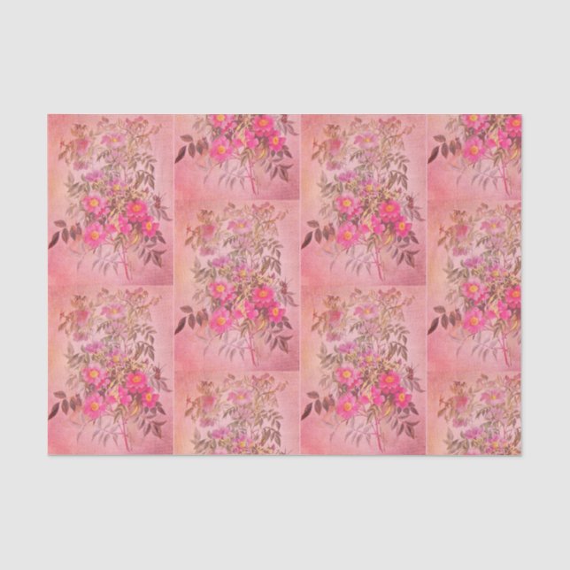 Sumpf-Rosen-Rosa-Blumenseidenpapier Seidenpapier (Vorderseite)