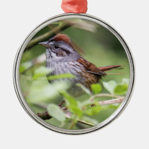 Sumpf-Spatz Ornament Aus Metall