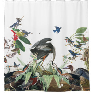 Sumpfgebiet-Collagen-Vögel Audubon Duschvorhang