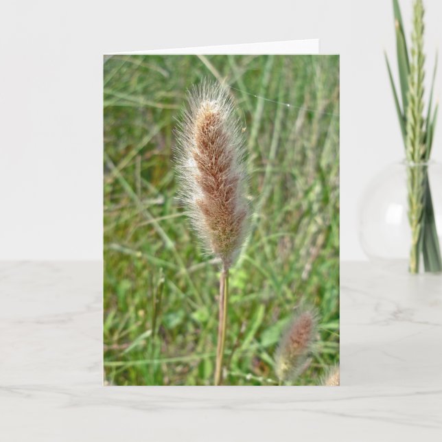 Sumpfgebiet-Gras Seedhead Anmerkungs-Karte Karte (Vorderseite)