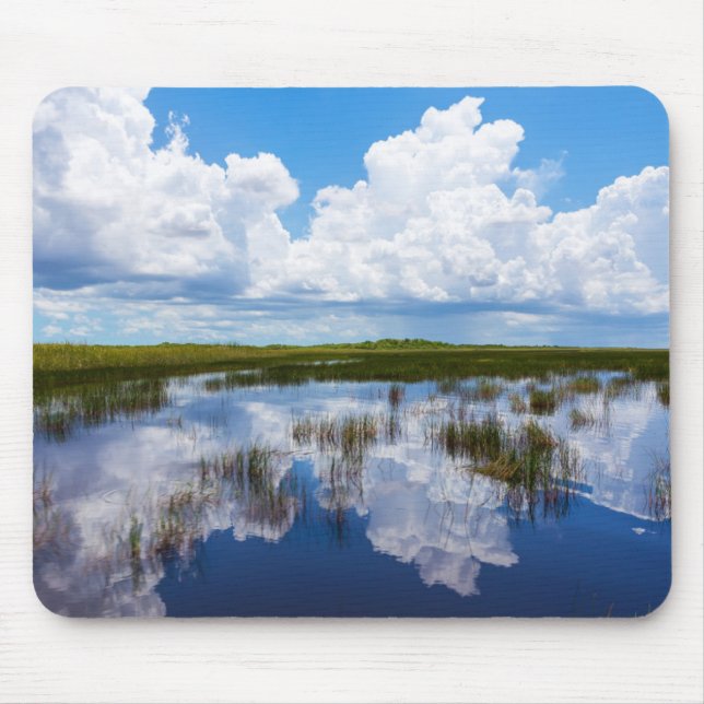Sumpfgebiet-natürliche Landschaft Mousepad (Vorne)