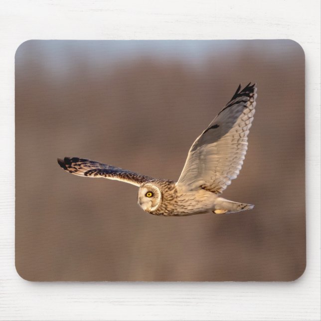 Sumpfohreule im Flug Mousepad (Vorne)