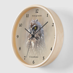 Sumpfohreule in Marschland ist atemberaubend Uhr