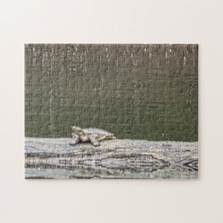 Sumpfschildkröten-Puzzle