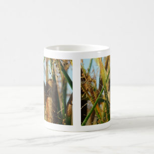 Sumpfzaunkönig B3 Kaffeetasse