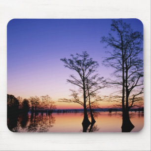 Sumpfzypressen vor Sonnenuntergang, Mousepad