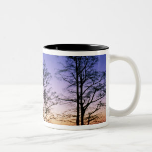 Sumpfzypressen vor Sonnenuntergang, Zweifarbige Tasse