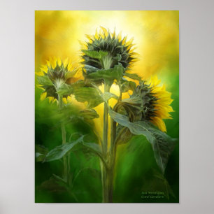 Sun-Anbeter-Kunst-Plakat/Druck Poster