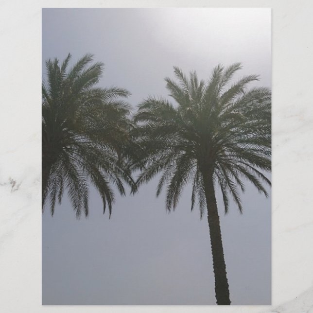 Sun Bäume Ägypten. (Vorderseite)