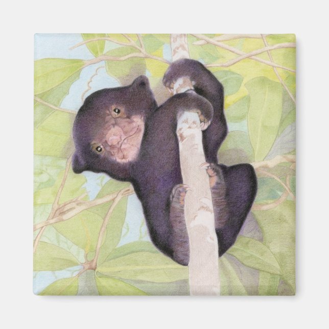 Sun Bear Cub Magnet (Vorne)