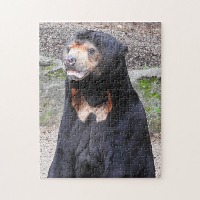 Sun Bear Puzzle (Vertikal)