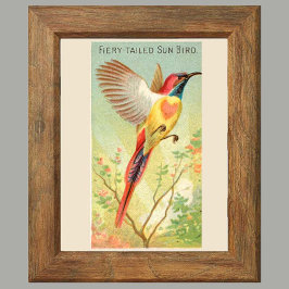 Sun Bird, Set 6 Bird Gallery Wall, 2 von 6 Poster