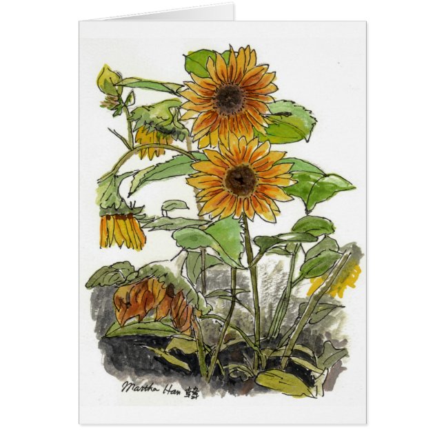 Sun-Blumen (Vorne)