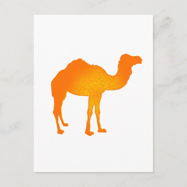 Sun Camel Postkarte (Vorderseite)