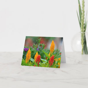 Sun colore le carte pour notes