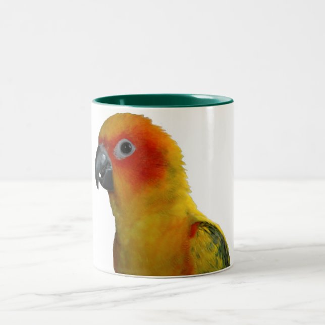 Sun Conure 15 Unze-Tasse Zweifarbige Tasse (Mittel)