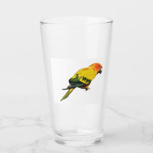 Sun Conure Glas