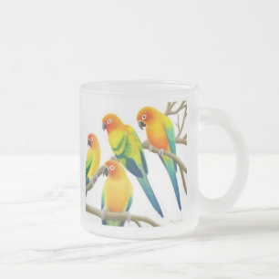 Sun Conure plappert mattierte GlasTasse nach Mattglastasse