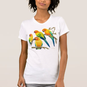Sun Conure plappert Schaufel-Hals-T-Shirt nach T-Shirt