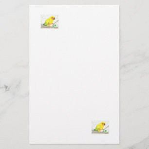 Sun Conure Stationery Briefpapier