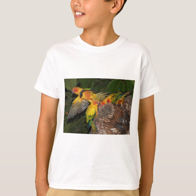 Sun Conures T-Shirt (Vorderseite)