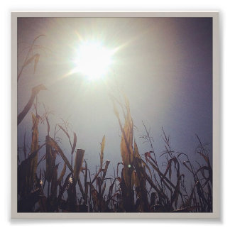 Sun-Corn-Gott 2 Fotodruck