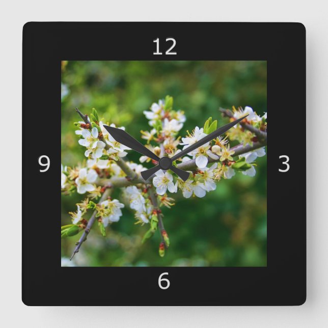 Sun-Dappled Spring Hawthorn Quadratische Wanduhr (Vorderseite)
