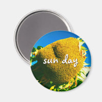 Sun Day Quoting Skript Gelbe Sonnenblumen Foto