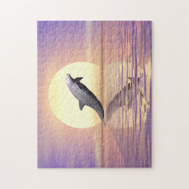 Sun Dolphin