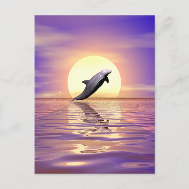 Sun Dolphin Postkarte (Vorderseite)