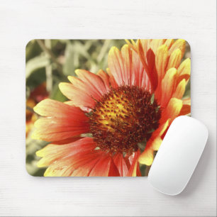 Sun Drenched Gaillardia Mousepad