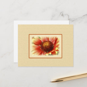 Sun Drenched Gaillardia Postkarte