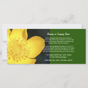 Sun entrenched Golden Buttercup