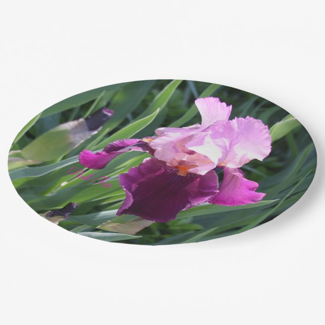 Sun-geküsst Pink Magenta Iris Garden Pappteller (Schrägansicht)
