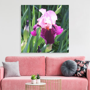 Sun-geküsste Pink Iris Blume Leinwand