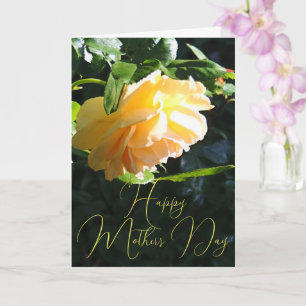 Sun Glow Yellow Rose Happy Mother Day Card Karte