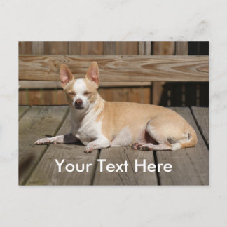 Sun-Göttin Postkarte