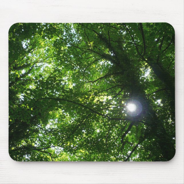 Sun in den Bäumen Mousepad (Vorne)