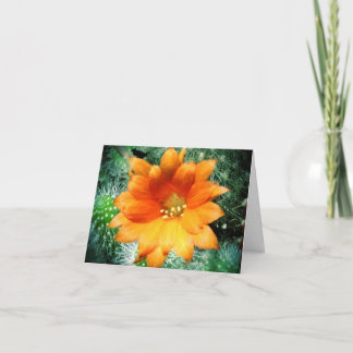 Sun küsste Wüsten-Blume danken Ihnen Anmerkungen Dankeskarte
