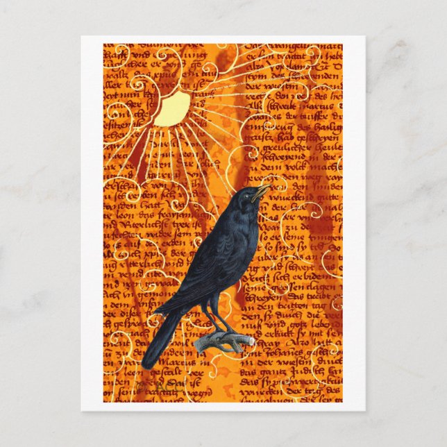 Sun Raven Postkarte (Vorderseite)