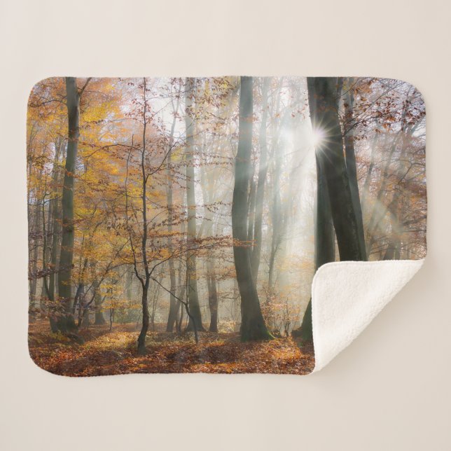 Sun Rays Mystic Landschaftlich Fall Forest Nature  Sherpadecke (Vorderseite (Horizontal))