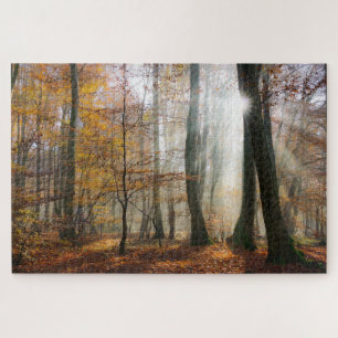 Sun Rays Mystic Misty Forest